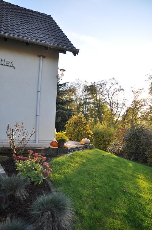 Chambres D'Hotes Les Chalinettes Fegersheim Bagian luar foto